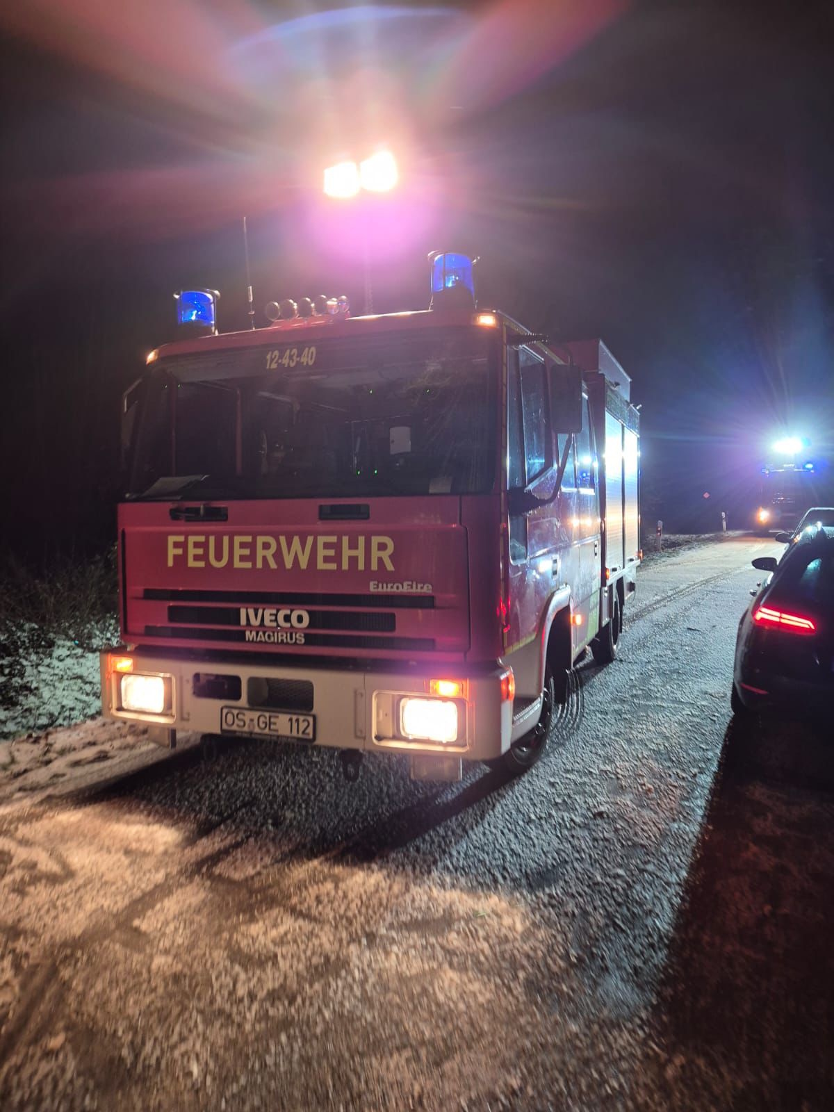 Baum auf Straße - Bild 5